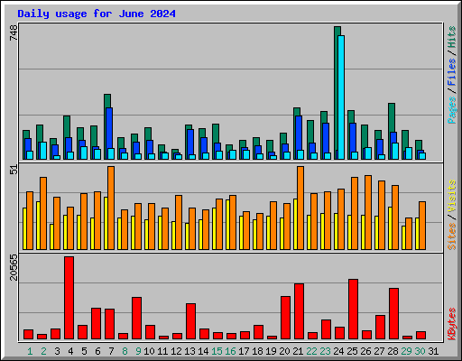 Daily usage for June 2024