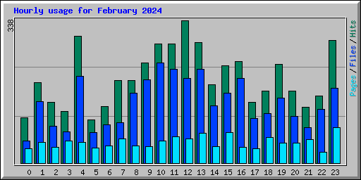 Hourly usage for February 2024