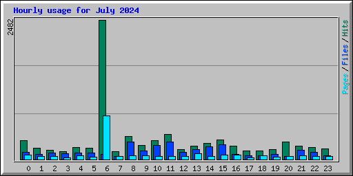 Hourly usage for July 2024