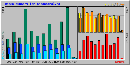 Usage summary for cndcontrol.ro